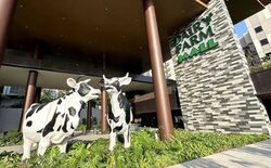 The Dairy Farm (D23), Retail #567022091